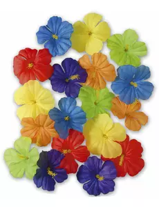 Veelkleurige bloemen