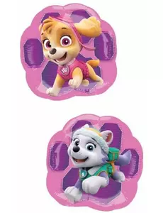Kleine aluminium ballon Skye en Everest Paw Patrol™