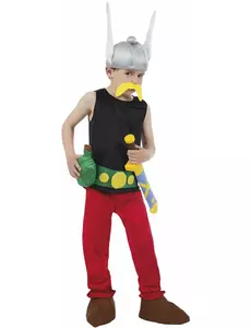 Asterix en Obelix™ Asterix kostuum voor kinderen, Maat: 5–6 jaar (116 cm)