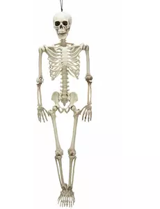 Squelette articulé 90 cm Halloween