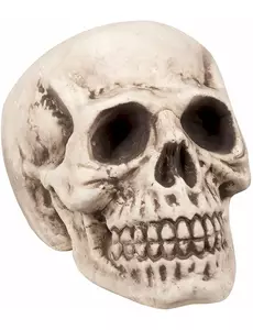 Witte en grijze doodskop decoratie