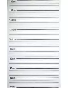 Toile de police arrestation 180 x 110 cm