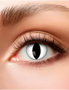Lentilles fantaisie oeil chat 3 mois adulte