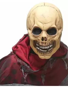 Masque latex crâne effrayant adulte