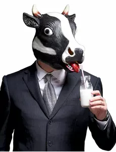 Koeienmasker
