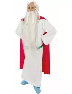 Asterix en Obelix™ Panoramix™ kostuum voor volwassenen, Maat: X-Large