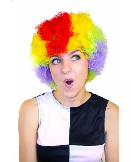 Veelkleurige Afroclownspruik voor volwassenen