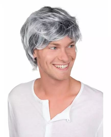 Perruque grisonnante homme