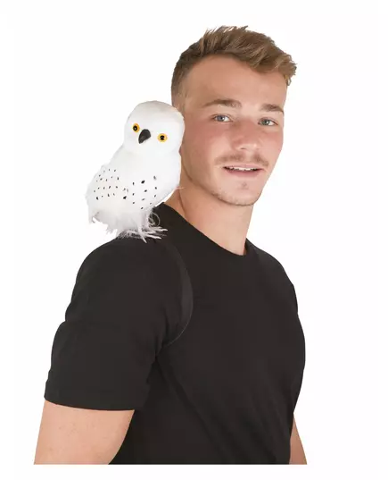 Chouette blanche de sorcier