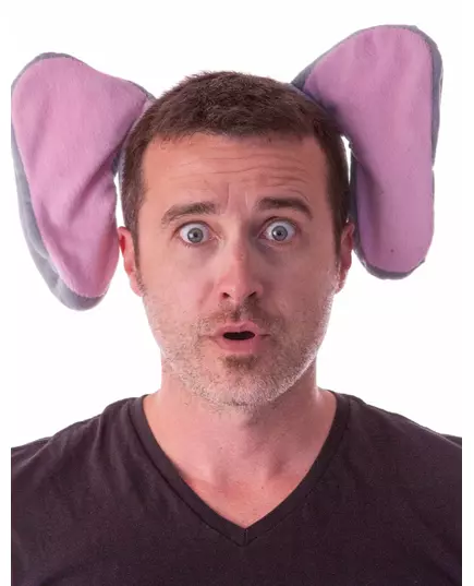 Olifant haarband voor volwassenen