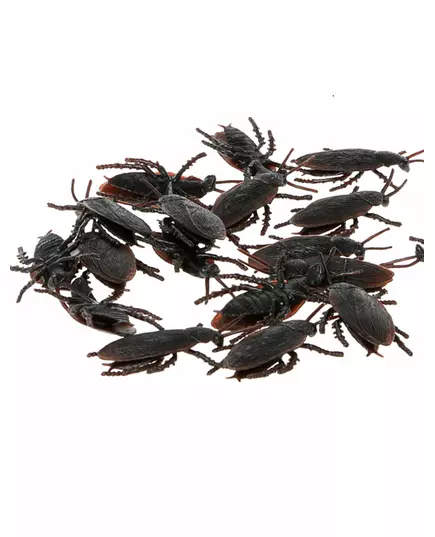 12 zwarte kakkerlakken