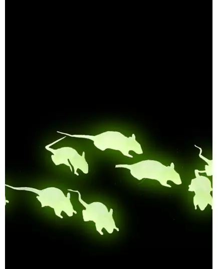 12 fosforescerende ratten