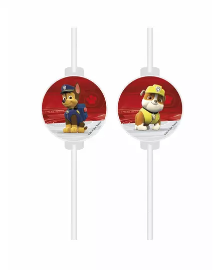 4 Paw Patrol™ rietjes met plaatje