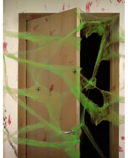 Groene spinnenweb decoratie met spinnen