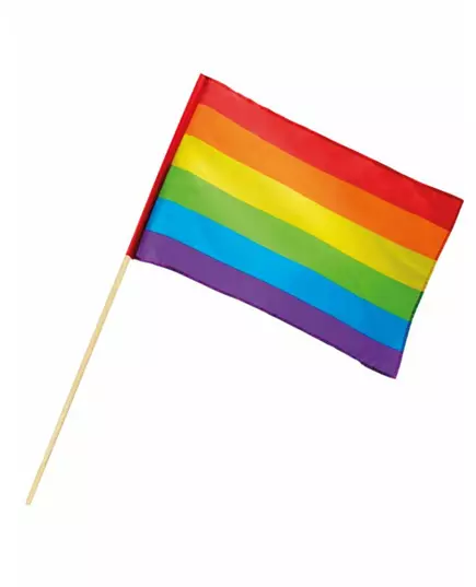Regenboog vlag 30 x 45 cm