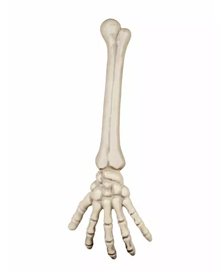 Main squelette 46 cm Halloween