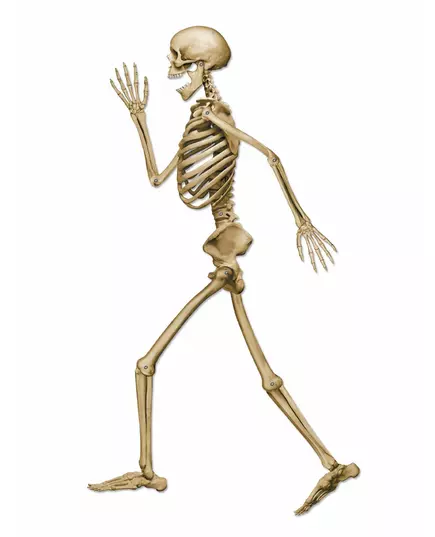 Décoration squelette marchant d'Halloween beige 94 cm