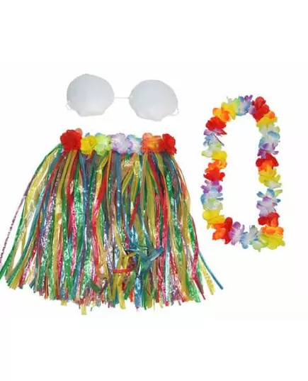 Kit déguisement Hawaï multicolore