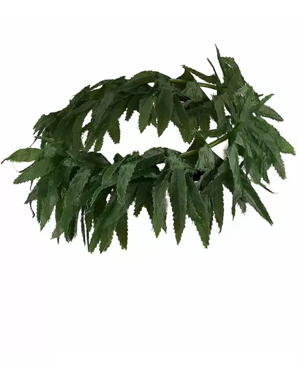 Hawaiiaanse haarband met tropische blaadjes