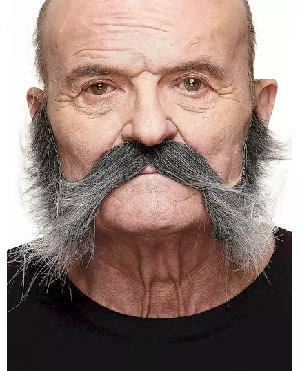 Moustache avec pattes grisonnante homme