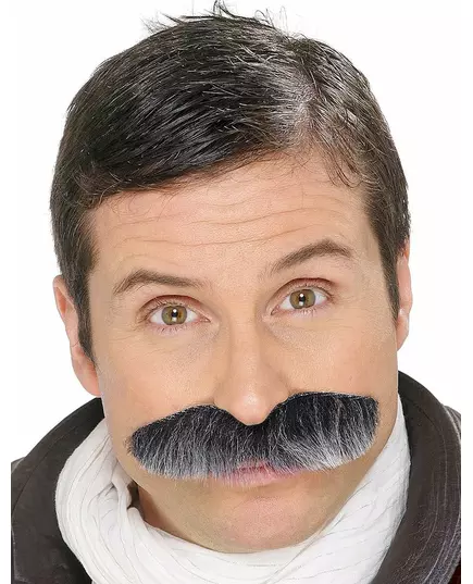 Moustache grisonnante adulte