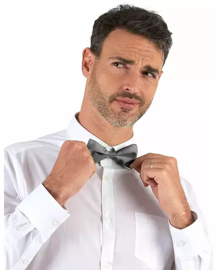 Noeud papillon argent adulte