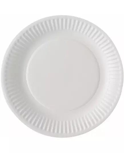 100 Kleine witte kartonnen borden 18 cm