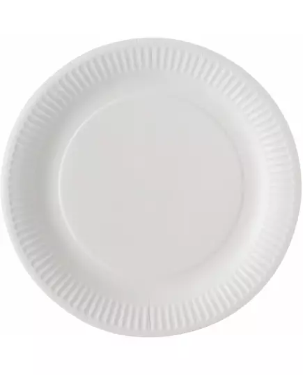 100 witte papieren borden 23 cm