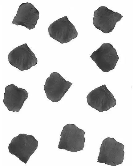 100 zwarte stoffen rozenblaadjes 5 cm
