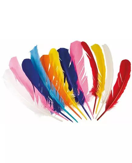 12 indianen pluimen 30 cm
