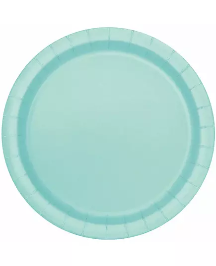 16 Assiettes en carton menthe 22 cm