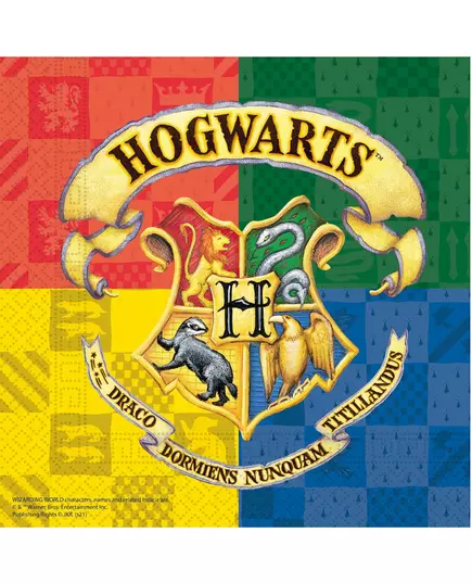 20 Serviettes en papier Harry Potter™ 33 x 33 cm