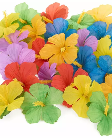 24 fleurs hawaïennes