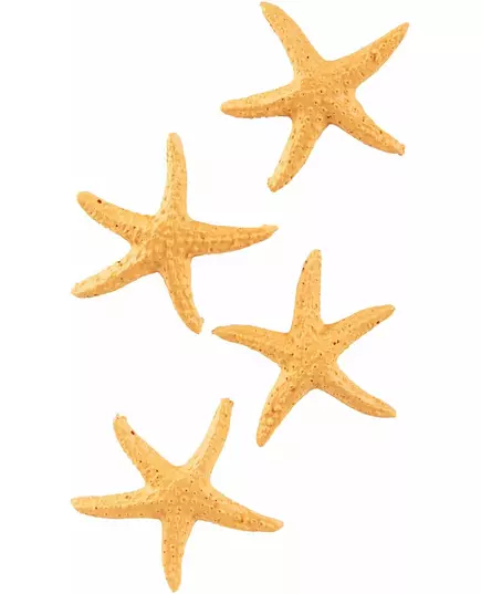 4 étoiles de mer en résine de 4,5 cm