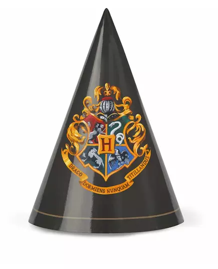 8 Chapeaux de fête Harry Potter™