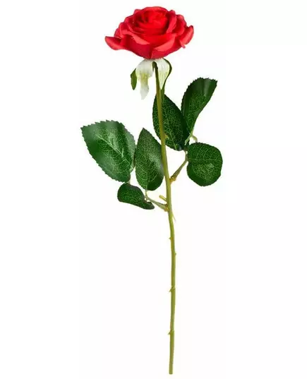Rose rouge