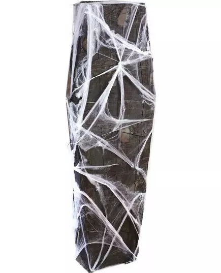 Doodskist met spinnenwebben decoratie Halloween