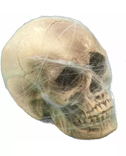 Décoration crâne avec toile d'araignée