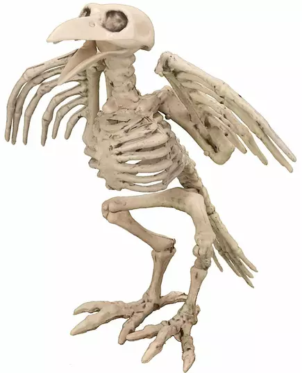 Raaf skeletdecoratie