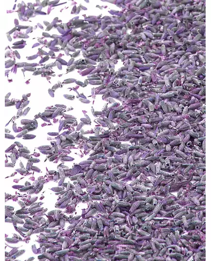 1 kg zak natuurlijke lavendelbloemen