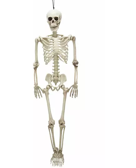 Skeletten decoratie voor Halloween