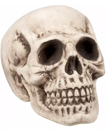 Witte en grijze doodskop decoratie