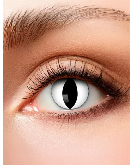 Lentilles fantaisie oeil chat 3 mois adulte