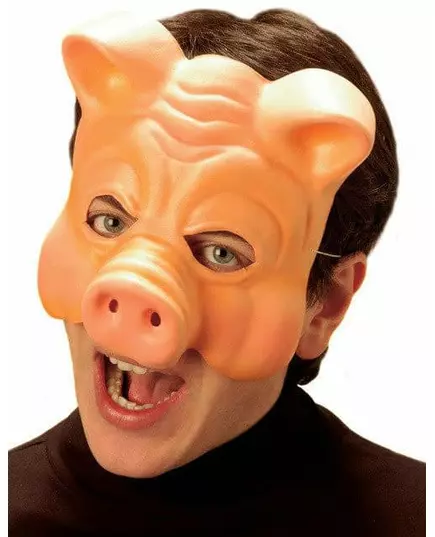 Demi-masque cochon adulte