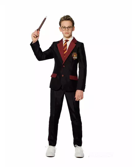 Mr. Griffoendor Suitmeister™ kostuum voor kinderen, Maat: 12–14 jaar (146–152cm)