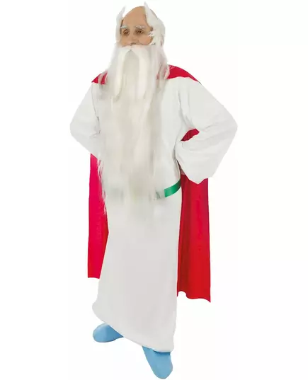 Asterix en Obelix™ Panoramix™ kostuum voor volwassenen, Maat: Medium