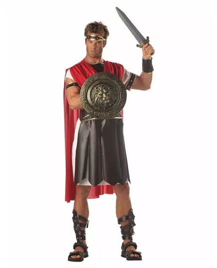 Gladiator gevechtsschild en zwaard, image 2