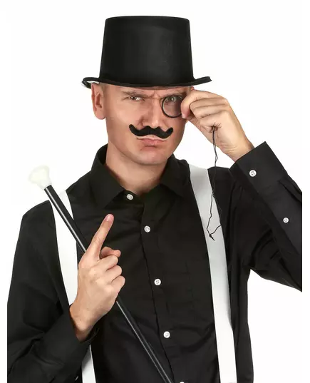 Chapeau haut de forme noir en plastique Adulte, image 2