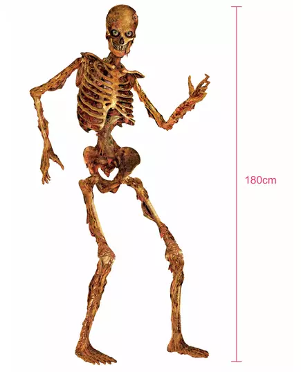 Halloween decoratie van skelet 180 cm, image 2