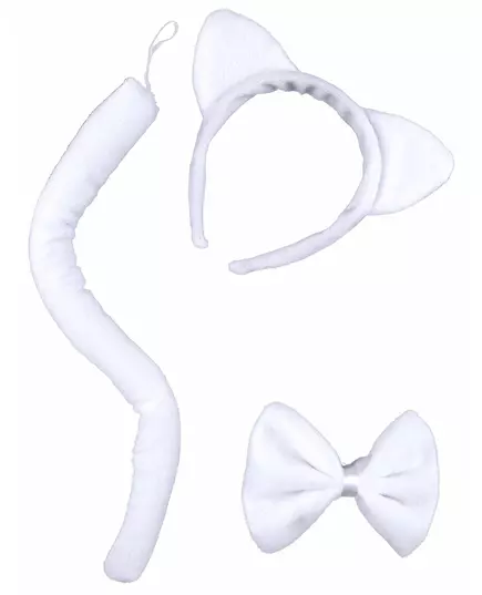 chaton blanc adulte, image 2